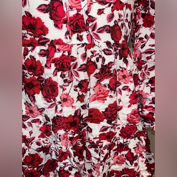 Floral Red and Pink Long Sleeve Puff-Sleeve Mini Dress - Picture 2 of 9